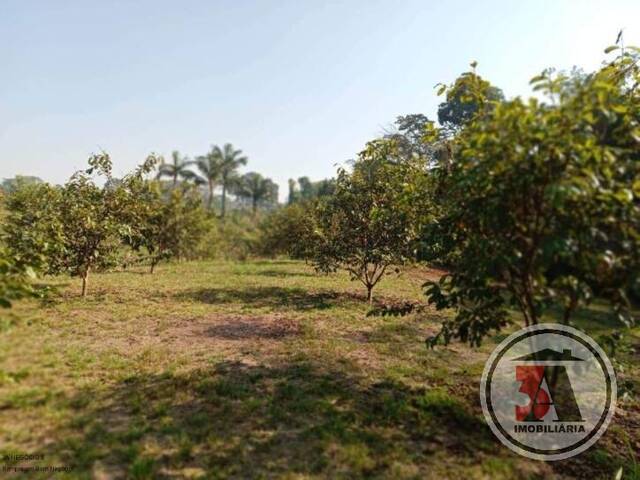 Áreas rurais para Venda em Porto Velho - 5