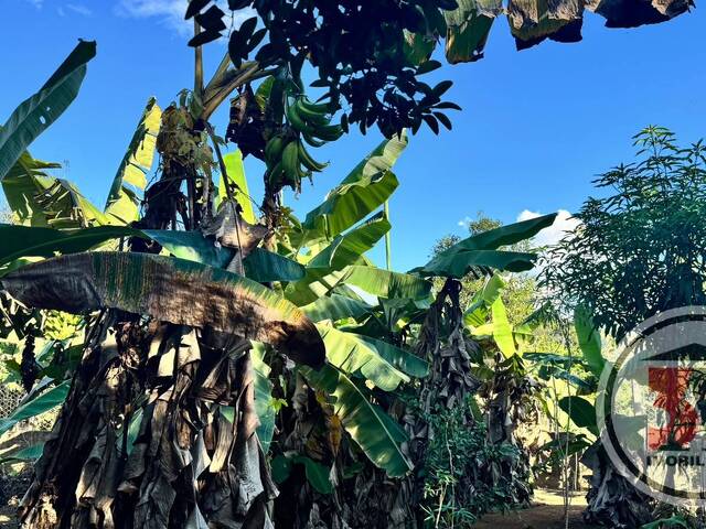 Áreas rurais para Venda em Porto Velho - 4