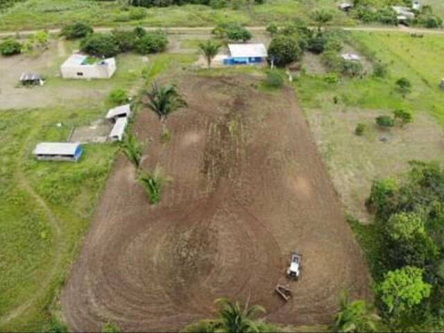 #902 - Chácara para Venda em Porto Velho - RO