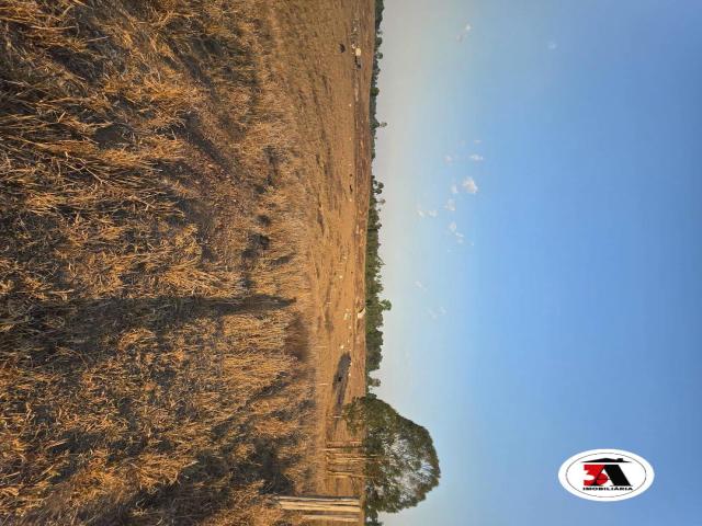 #1176 - Fazenda para Venda em Porto Velho - RO