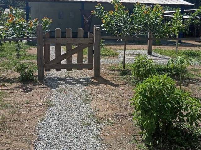 #11259D - Áreas rurais para Venda em Candeias do Jamari - RO