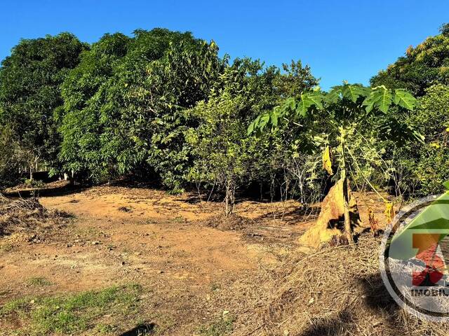 Áreas rurais para Venda em Porto Velho - 3