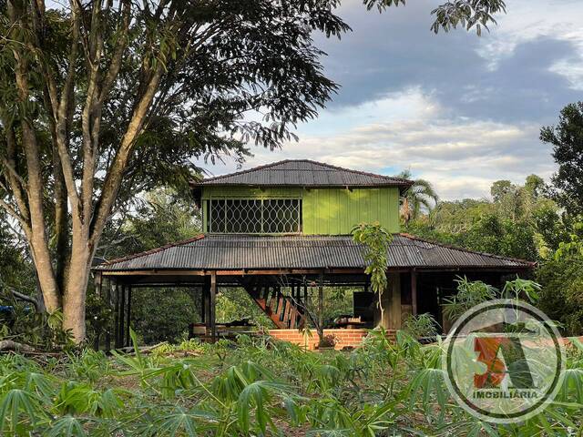 lote33