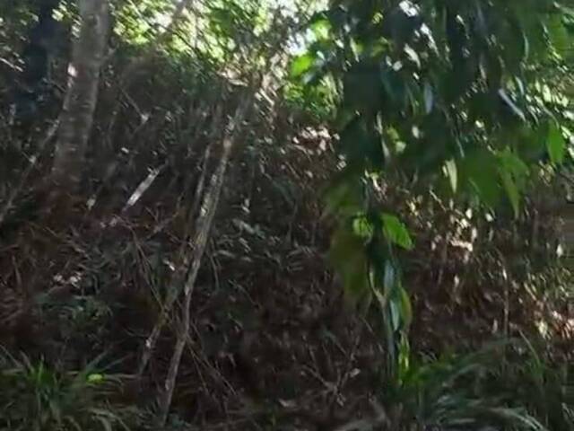 #1343 - Áreas rurais para Venda em Porto Velho - RO