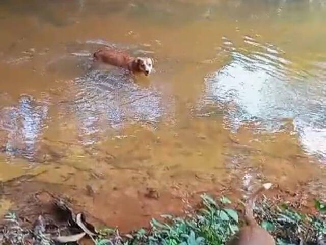 Venda em Centro - Porto Velho