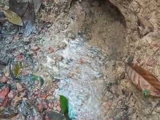 Áreas rurais para Venda em Porto Velho - 4