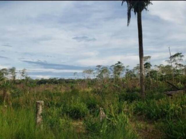#1061 - M - Fazenda para Venda em Porto Velho - RO